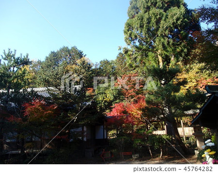 里山 里山 45764282