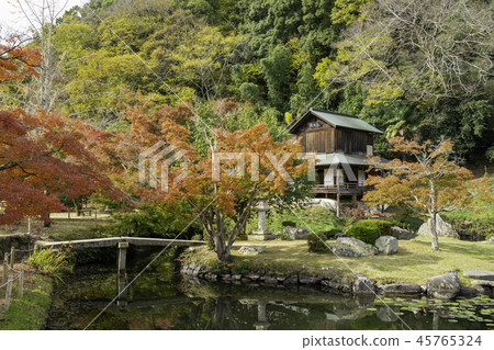 Ashiko Kikusuien 45765324