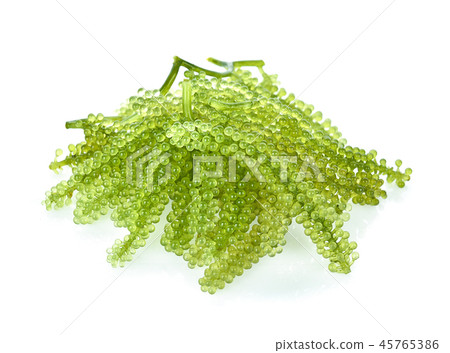 Sea grapes ( green caviar ) seaweed isolated Sea grapes ( green caviar ) seaweed isolated 45765386