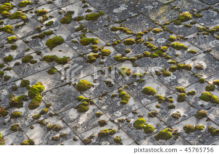 Old roofing covered with moss. 45765756
