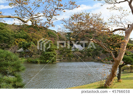 橫濱三溪園 45766038