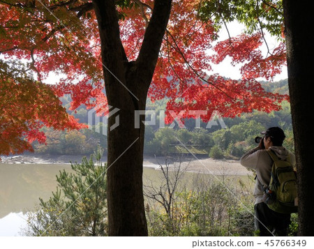 Higashihiroshima City photography spot Koyama Park 45766349