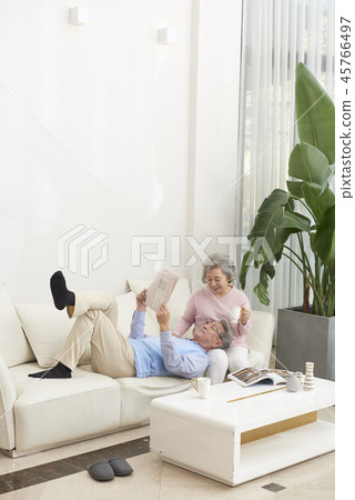senior senior 45766497