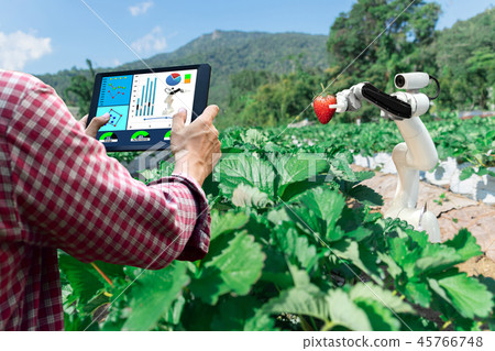 Smart robotic farmers strawberry in agriculture Smart robotic farmers strawberry in agriculture 45766748