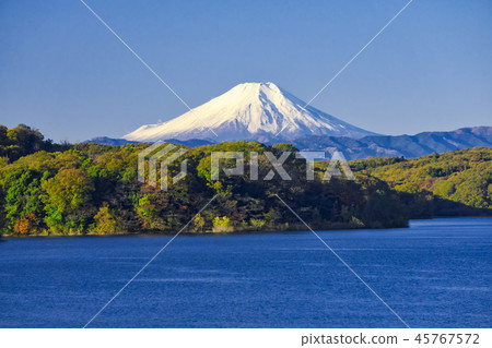 從彩色葉子的Sayama湖邊看見的富士山 45767572