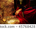 lady in historic dress beside heraldic sign carved in stone. Vintage effect. 45768428
