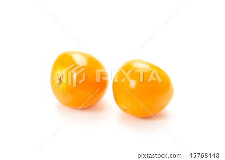 Edible physalis Edible physalis 45768448