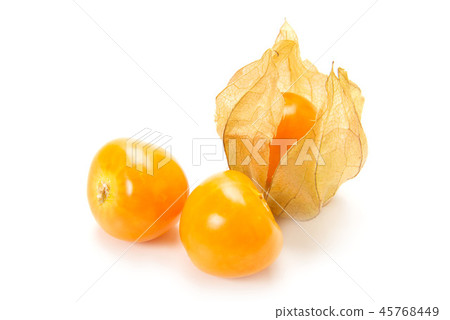 食用細月 45768449