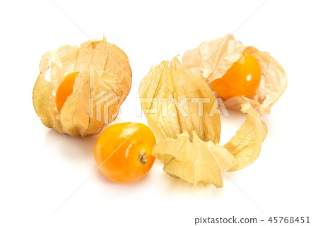 食用細月 45768451