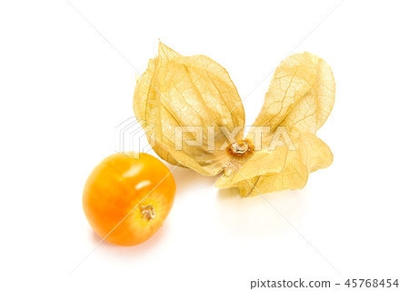 食用細月 食用細月 45768454