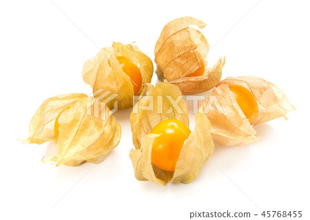 Edible physalis 45768455
