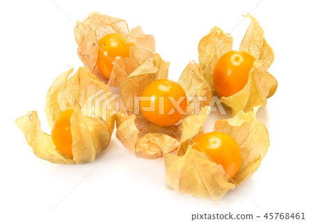 Edible physalis 45768461