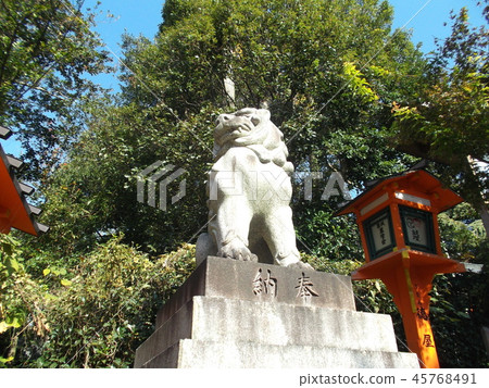 科馬的 45768491