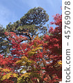Autumn leaves of Eikan-do 45769078