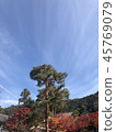 Autumn leaves of Eikan-do 45769079