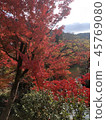 Autumn leaves of Eikan-do 45769080