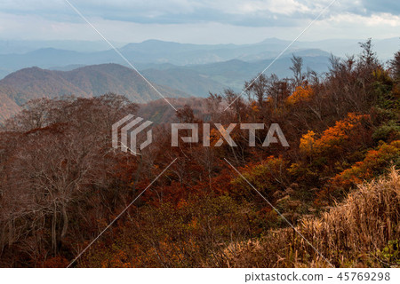 Tsukiyama's autumn leaves Tsukiyama's autumn leaves 45769298