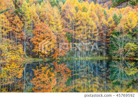Fall pond of autumn Fall pond of autumn 45769592