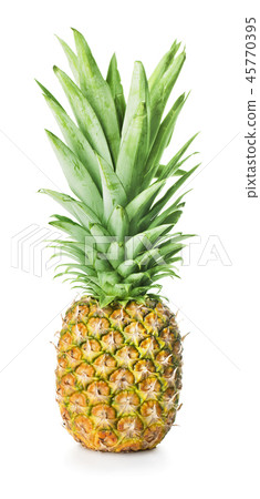 single pineapple isolated single pineapple isolated 45770395