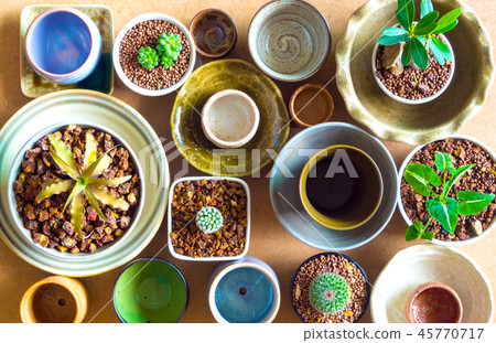 Ceramic bowls prepared to use for houseplant pot Ceramic bowls prepared to use for houseplant pot 45770717