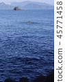 Japan Sea 45771458