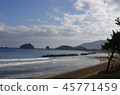Japan Sea 45771459