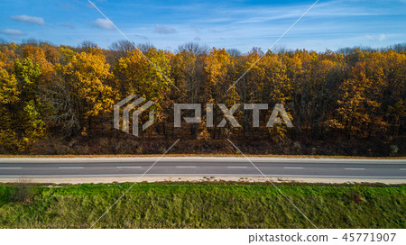 Aerial view of road in autumn forest at sunset. Amazing landscape with rural road, trees with red Aerial view of road in autumn forest at sunset. Amazing landscape with rural road, trees with red 45771907