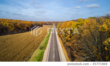 Aerial view of road in autumn forest at sunset. Amazing landscape with rural road, trees with red Aerial view of road in autumn forest at sunset. Amazing landscape with rural road, trees with red 45771909