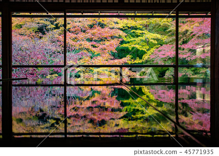 Authority Rurikoin 45771935