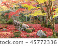 Autumn leaves garden 2 45772336