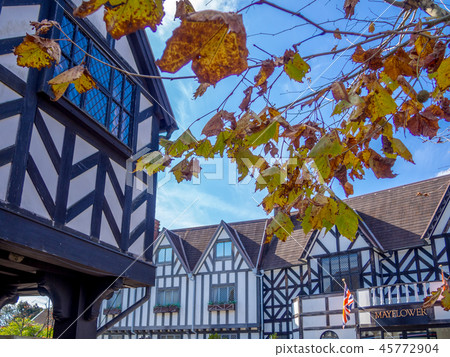 [Izu City, Shizuoka Prefecture] Autumn theme park scenery [Platanus Shuzenji Niji no Sato] 45772904