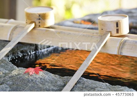 Hand-bowl and autumn leaves 45773063