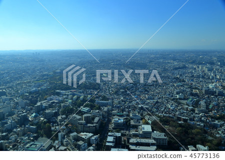 從橫濱地標塔空中花園查看 45773136
