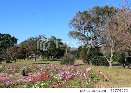 小柴公園（木更津市） 45774973