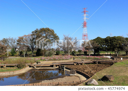 小柴公園（木更津市） 45774974