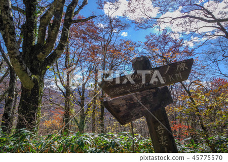 Shimane Prefecture, landscape from the summit of Azuma mountain to Ogasawara (November 2018) 45775570