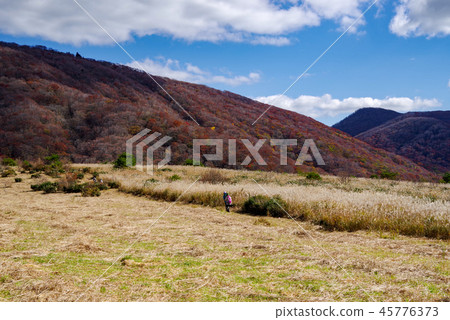 島根縣,Azuma,小笠原和小笠原的景觀(2018年11月) 島根縣,Azuma,小笠原和小笠原的景觀(2018年11月) 45776373