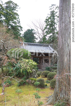  龍潭寺德瓦 45776949