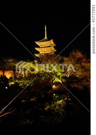 東寺寺點亮_沒有30 45777091
