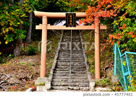 Torii of Sapporo Shirakawa Shrine 45777481