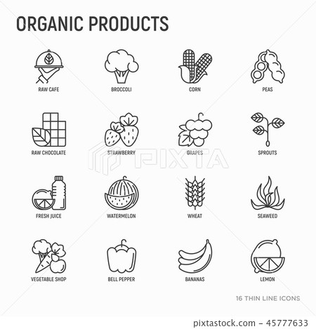 Organic products thin line icons set 45777633