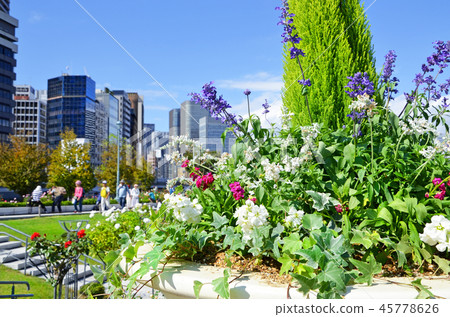 Scenery of Osaka Nakanoshima rose garden 45778626