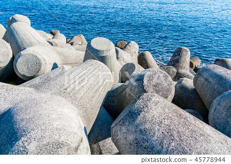 Tetrapod  45778944