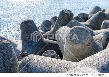 Tetrapod  45778945