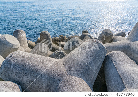 Tetrapod  45778946