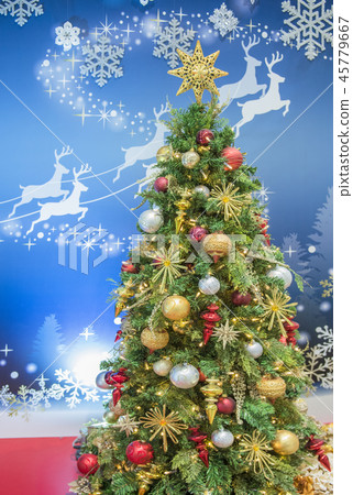 Christmas tree  45779667