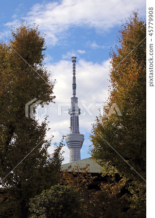 Tokyo Sky Tree 45779908