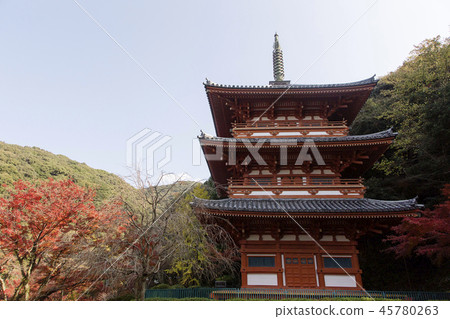 Miyama City Kiyomizu Temple Autumn leaves Miyama City Kiyomizu Temple Autumn leaves 45780263