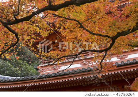 Miyama City Kiyomizu Temple秋葉 45780264