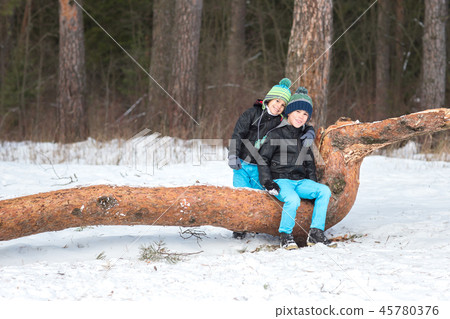 Two brothers in the winter forest Two brothers in the winter forest 45780376